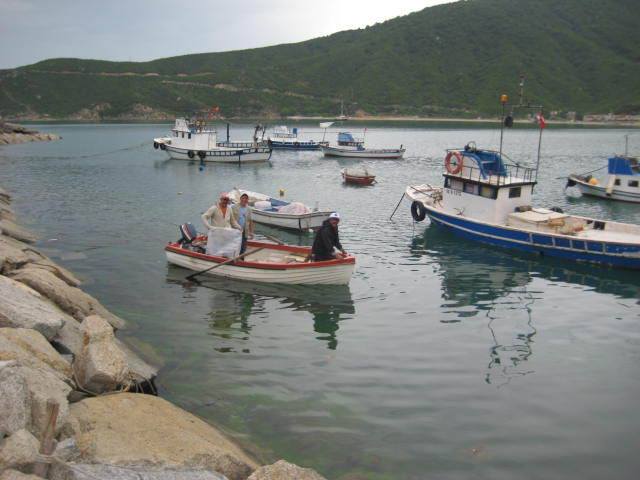 Balıkçı Limanı
